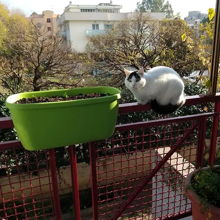 Intero Con Giardino E Parcheggio דירה רומא
